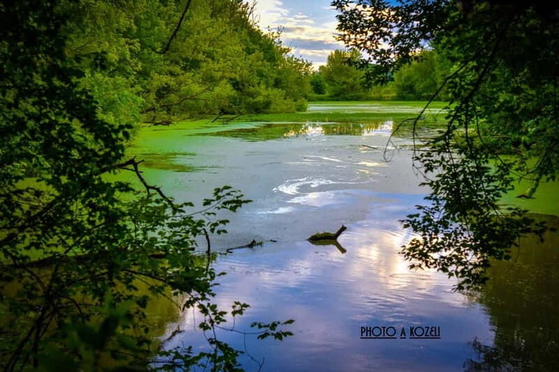 Mantua: Morning boat tour + Afternoon: guided visit to the city center - Key Points