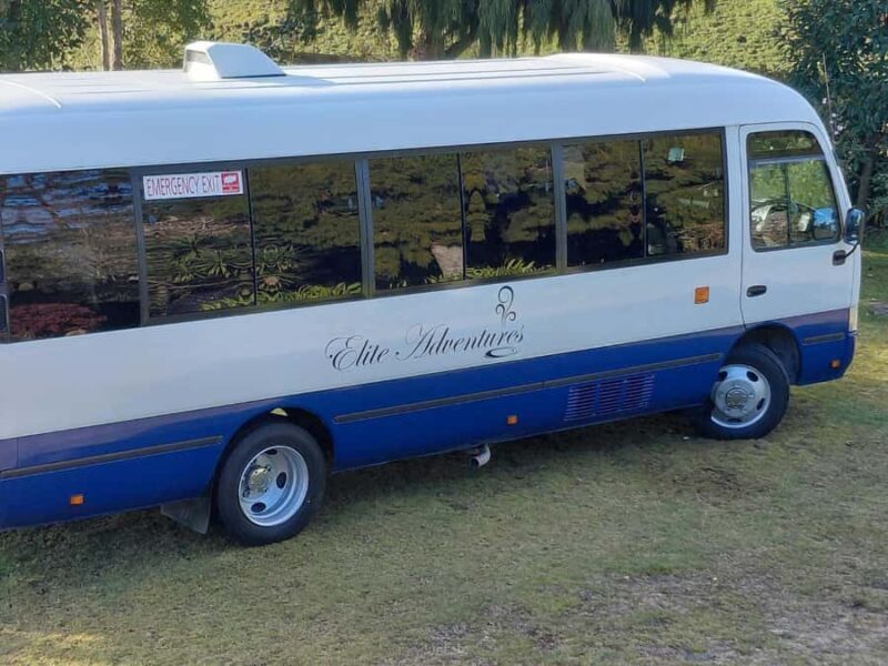 Maori Culture Small Group Afternoon Tour including Te Puia - What to Expect from the Tour