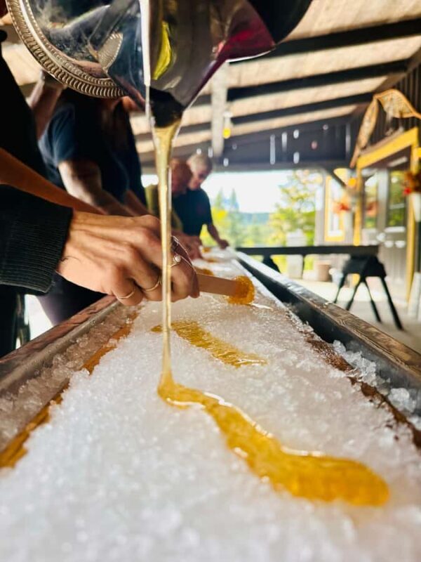 Maple Syrup Museum Tour with Tastings - A Closer Look at the Experience