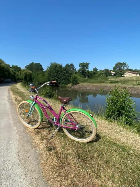 Marais Poitevin: Bike trip in the Green Venice - Exploring the Marais Poitevin Bike Tour in Detail