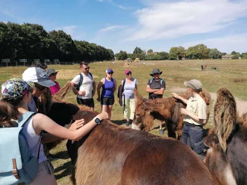 Marais Poitevin: Discovery day in the footsteps of the Baudet - Exploring the Day Itself: A Step-by-Step Breakdown