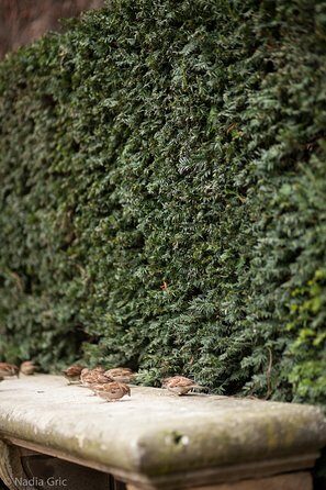 Marais semi private walking tour - FAQ