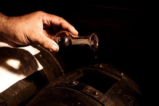 Maranello: Ferrari Museum & Balsamic Vinegar Tour - Who Is This Tour For?