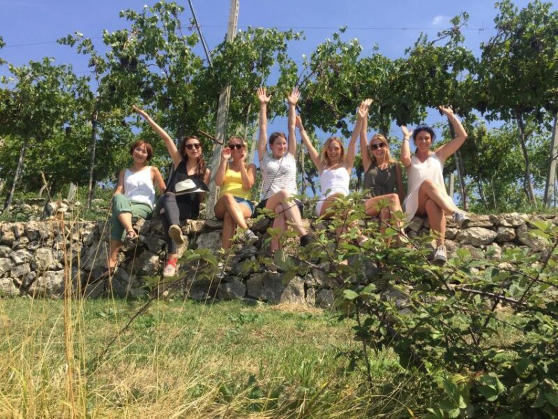 Marano di Valpolicella: DOP Olive Oil Tasting Experience - An In-Depth Look at the Experience