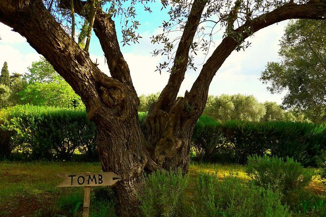 Marathon, Thermopylae/ Herodotus History private tour (9 hours) - Why This Tour Offers Great Value