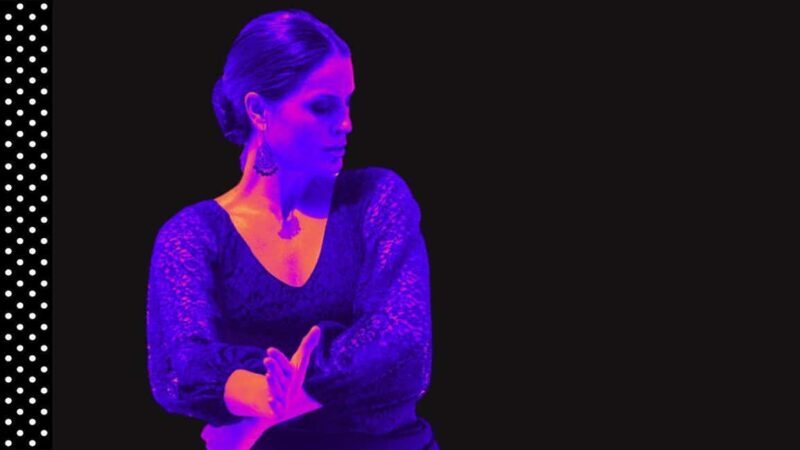 Marbella: 1-Hour Flamenco Dance Class with a Spanish Teacher - Key Points