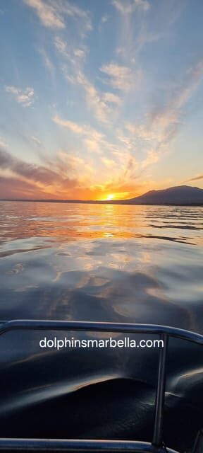 Marbella: Dolphin-Watching Sailboat Trip with Drinks, Snacks - Detailed Breakdown of the Itinerary