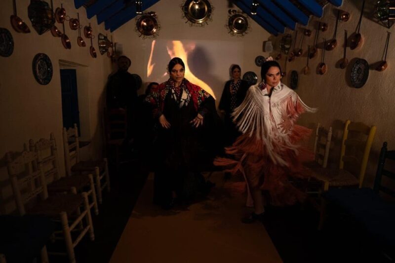 Marbella: Flamenco Show with a Drink - Final Thoughts