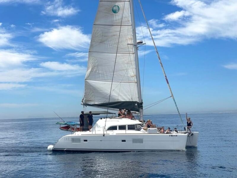 Marbella: Group Dolphin Watching Catamaran Tour with Drinks - FAQ