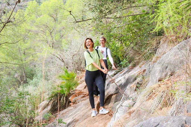 Marbella Guided Hiking and Foraging Adventure - Key Points