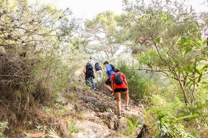 Marbella Guided Hiking and Foraging Adventure - Frequently Asked Questions