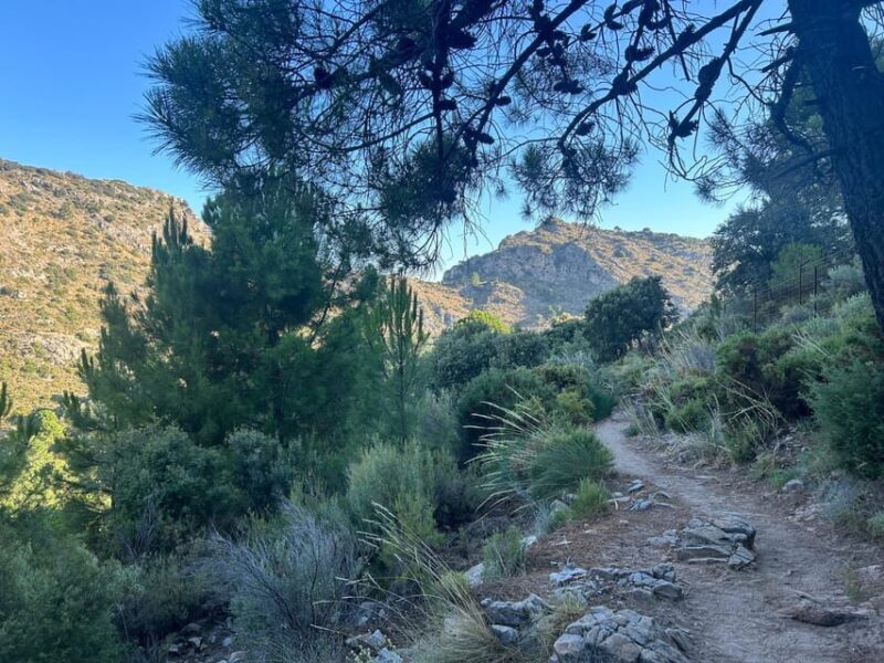 Marbella: "La Concha" mountain tour including snack and drink - Climbing to the First Scenic Viewpoint