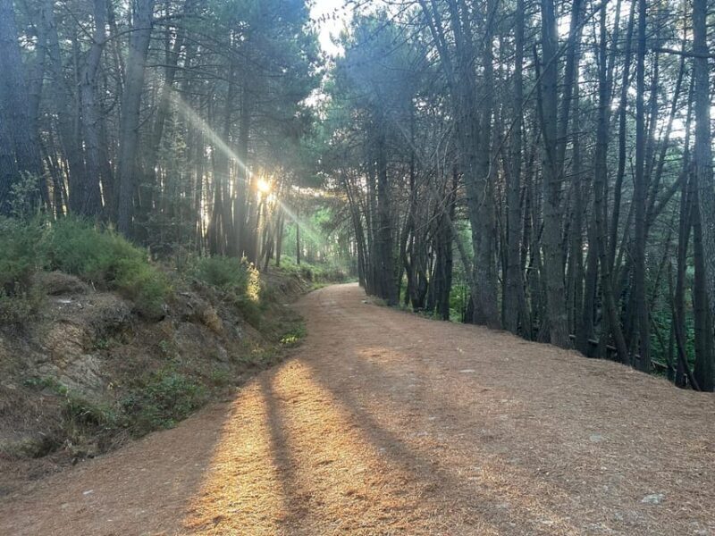Marbella: "La Concha" mountain tour including snack and drink - Picnic at 1,200 Meters