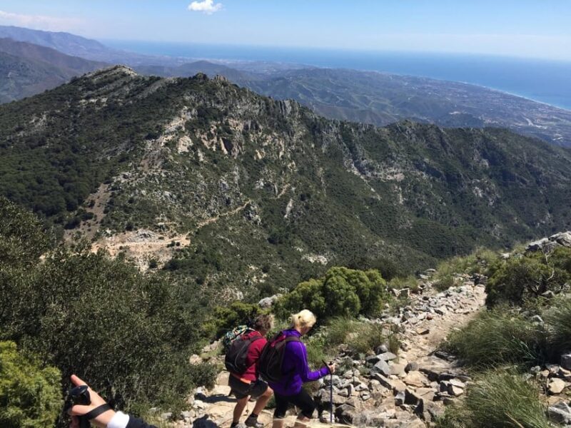 Marbella: "La Concha" mountain tour including snack and drink - Wildlife and Nature Encounters