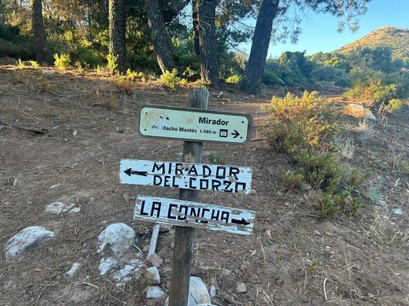 Marbella: "La Concha" mountain tour including snack and drink - Reaching the Summit