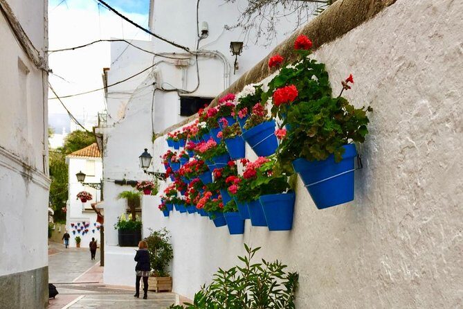 Marbella Old Town group tour with a True Local - FAQ
