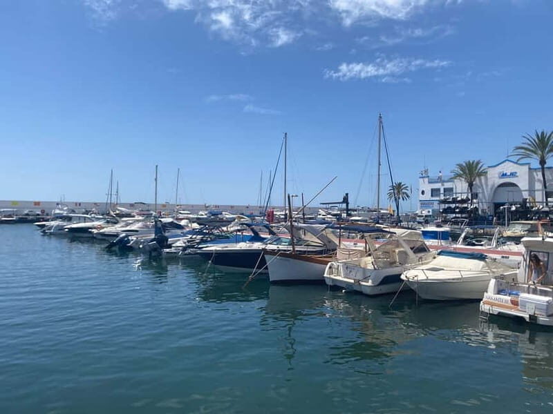 Marbella: Private guided city tour with tapas tasting - Key Points