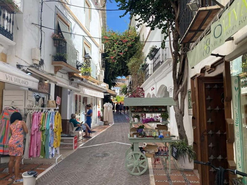 Marbella: Private guided city tour with tapas tasting - Who Will Love This Experience?
