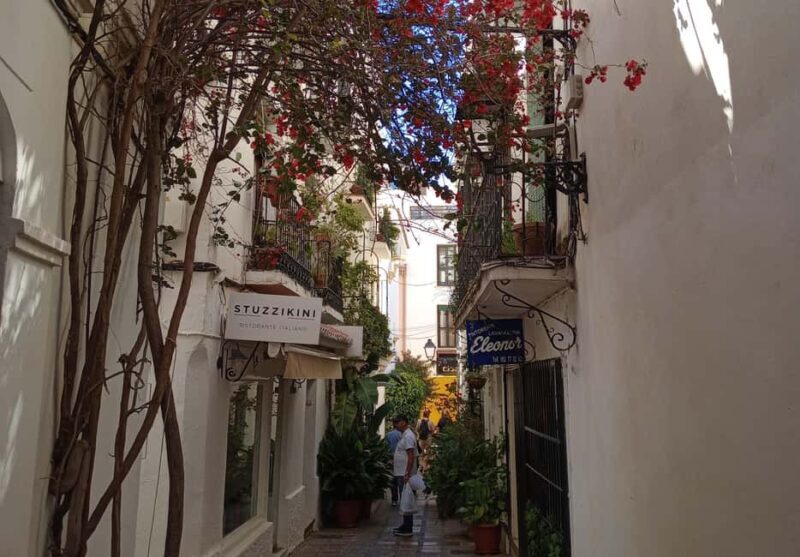 Marbella: Private Tour of the Historic Center - Who Will Love This Tour?