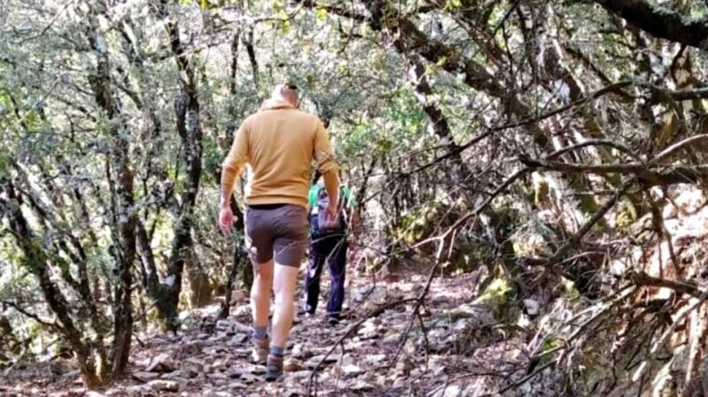 Marbella: Sierra de las Nieves National Park Hiking Day Trip - The Value & Who It’s For