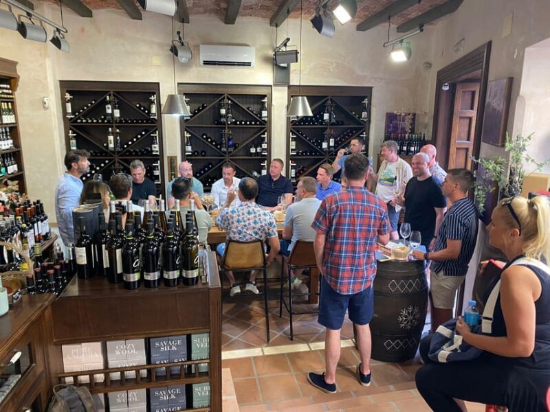 Marbella: Tour of the Old Town with Tapas & Wine - Discover Marbella’s Old Town: A Visual and Cultural Feast