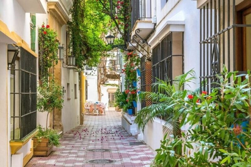 Marbella : Walking Custom Tour with a Local Guide - Practical Details and Value
