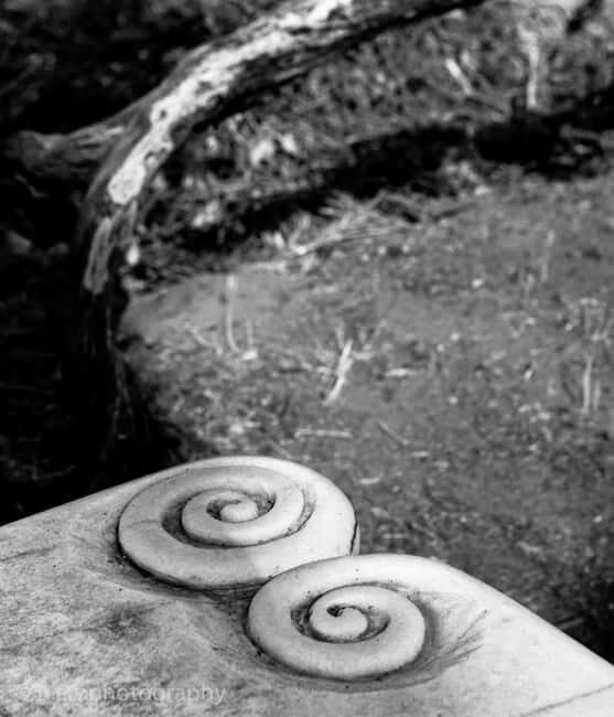 Marble Carving or Mosaic Basic Techniques -3 hour lesson - - Final Words: Is This the Right Experience for You?