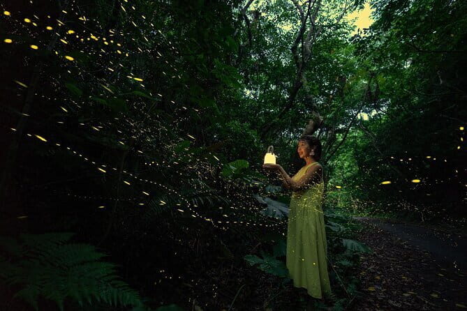 March-JunePrivate Firefly Viewing & Stargazing tour - Key Points
