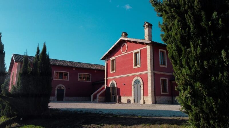 Marche: Tasting and Tour of Local Wines and Tastes at D'Erasmo Winery - Key Points