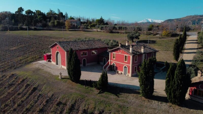 Marche: unique visit and tasting at D'Erasmo Winery among signature wines - Key Points