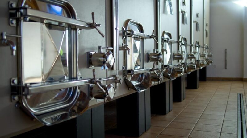 Marche: unique visit and tasting at D'Erasmo Winery among signature wines - FAQ