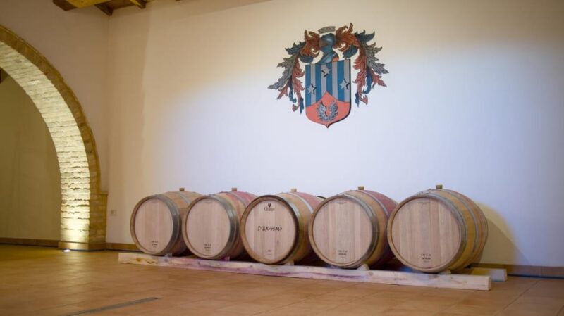 Marche: unique visit and tasting at D'Erasmo Winery among signature wines - Final Thoughts