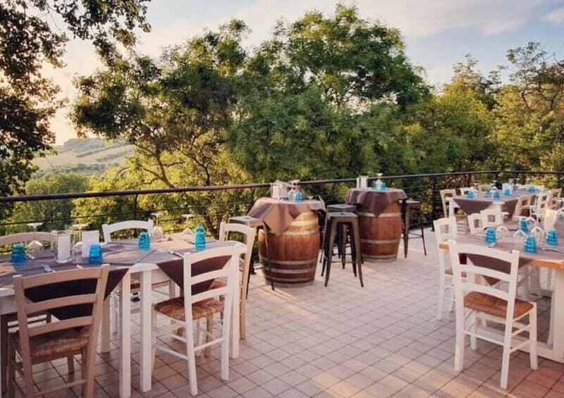 Marche Wines: Explore the Richness of Local Flavors - Key Points