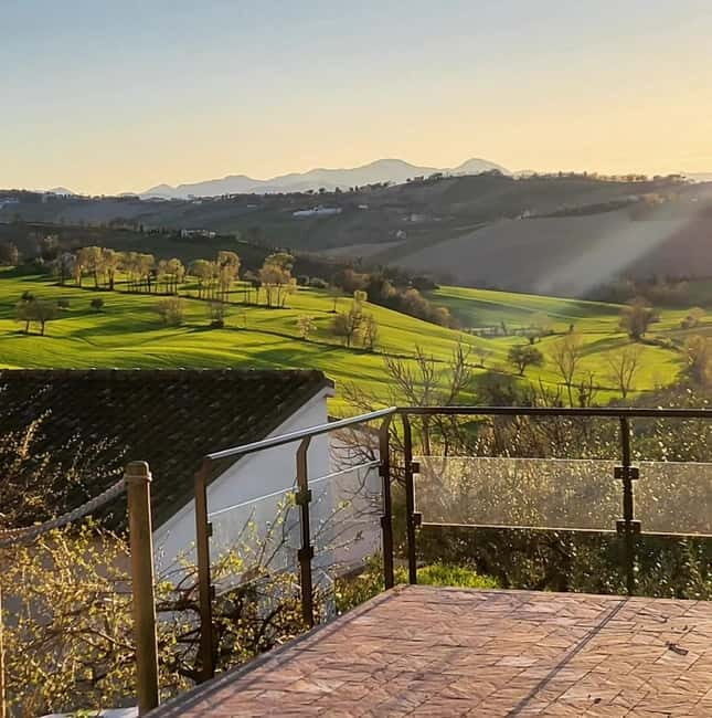 Marche Wines: Explore the Richness of Local Flavors - Who Would Love This Tour?