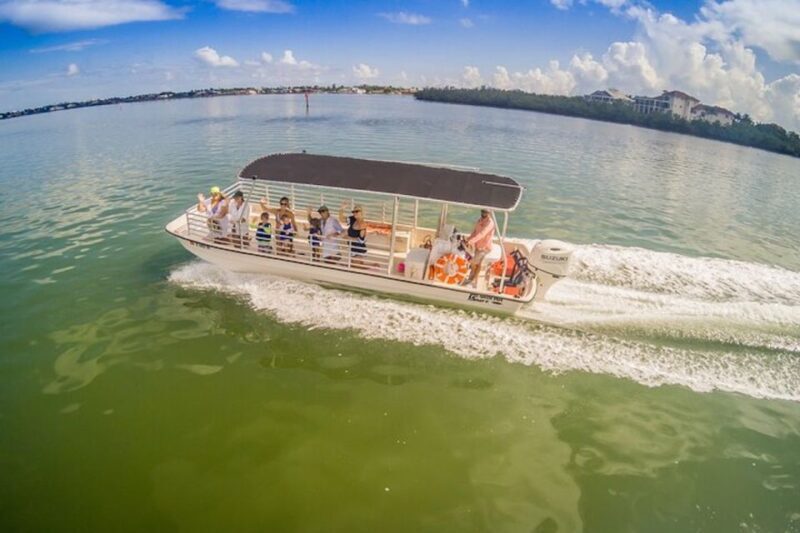 Marco Island: Dolphin-Watching Boat Tour - What Makes This Tour Stand Out?