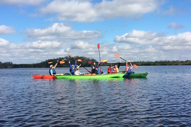 Marco Island Mangrove Tunnel and Maze Adventure Small group size - A Closer Look at the Tour Itself