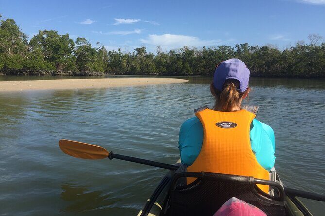 Marco Island Mangrove Tunnel and Maze Adventure Small group size - The Pros and Cons: What You Should Know