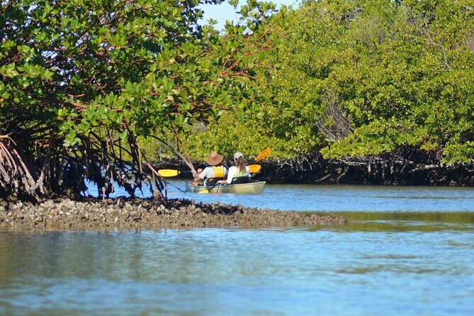 Marco Island Mangrove Tunnel and Maze Adventure Small group size - Final Thoughts on the Experience