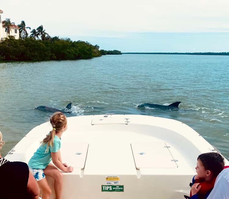 Marco Island: Private Shelling & Dolphin Excursion - Key Points