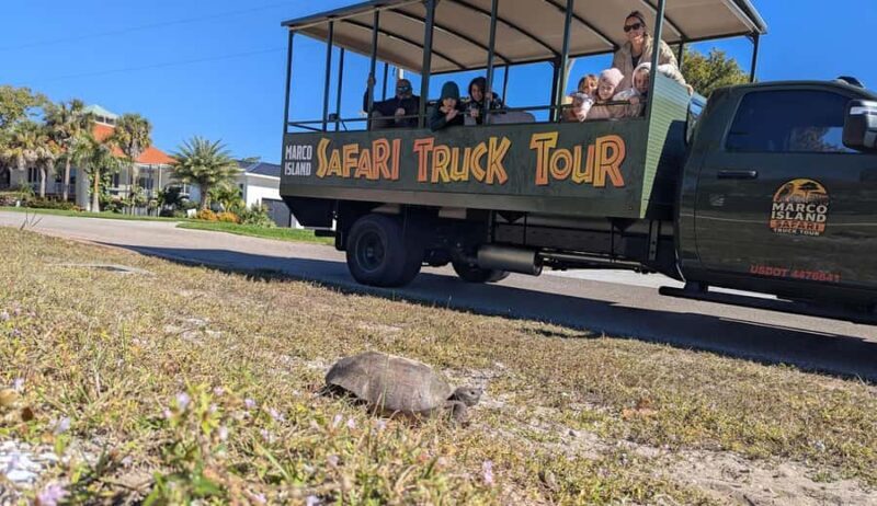 Marco Island: Safari Truck Tour - Final Thoughts: Is It Worth It?