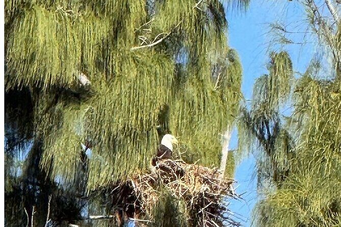 Marco Island Safari Truck Tour - What to Expect on the Tour