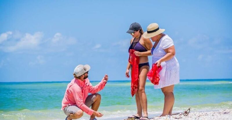 Marco Island: Shelling and Sightseeing Boat Cruise - A Detailed Look at the Experience