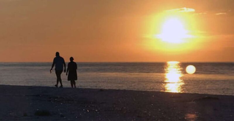 Marco Island: Sunset Boat Tour - Wildlife and Nature Encounters