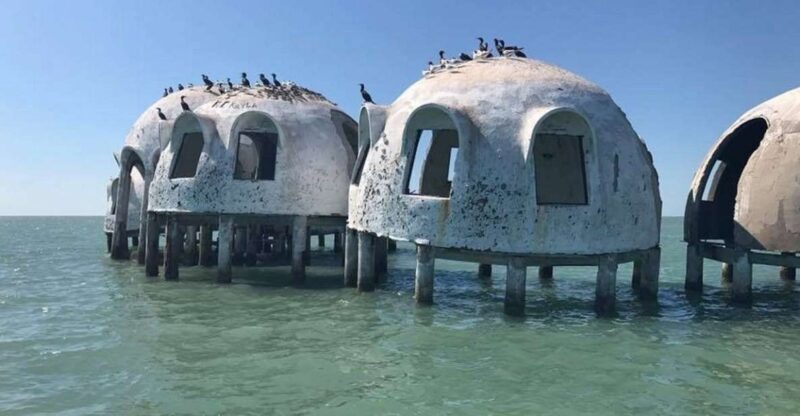 Marco Island: Ten Thousand Islands Shelling & Dolphin Tour - An In-Depth Look at the Tour Experience