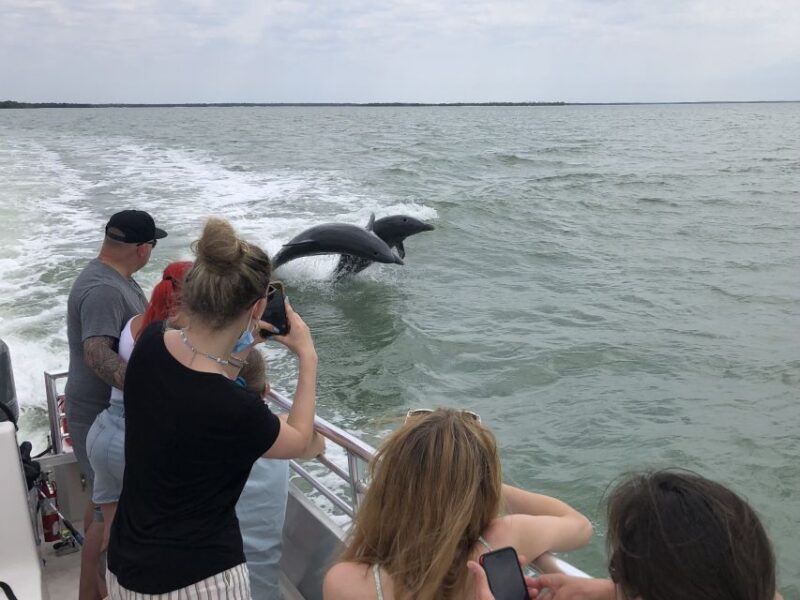 Marco Island: Ten Thousand Islands Shelling & Dolphin Tour - The Sum Up