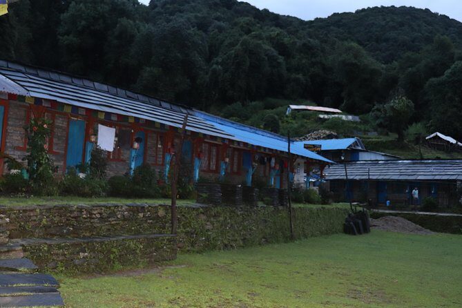 Mardi Himal Base Camp Trek (5 Days) - The Detailed Experience of the Mardi Himal Trek