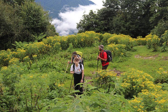 Mardi Himal Base Camp Trek (5 Days) - Authentic Insights from Reviewers