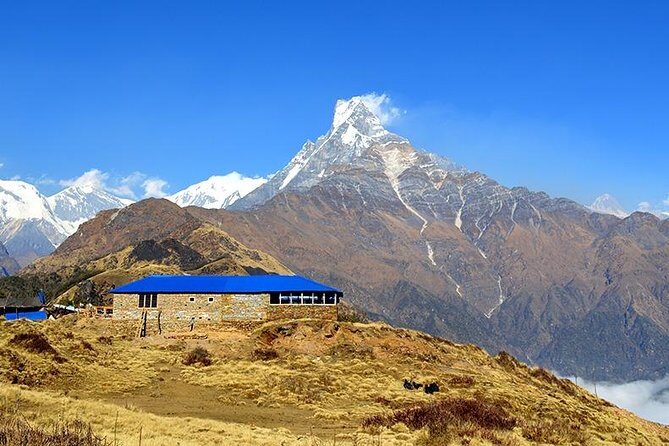 Mardi Himal Base Camp Trek - An In-Depth Look at the Mardi Himal Base Camp Trek