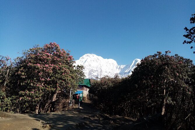 Mardi Himal Newly Discovered Trekking from Pokhara Nepal - Final Thoughts