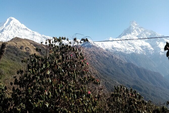 Mardi Himal Newly Discovered Trekking from Pokhara Nepal - Frequently Asked Questions